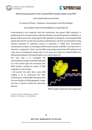 58
BBTS 2016 - BIOPHYSICS BY THE SEA 2016
Fluorescence Spectroscopy, Microscopy and Molecular Cell Mechanics and Theoretical Neurophysics
DNA binding properties of the archaeal MCM complex studies using AFM
Amna Abdalla Mohammed Khalid
III. Institute of Physics – Biophysics, Georg-August-University Göttingen
amna.abdalla-mohammed-khalid@phys.uni-goettingen.de
Understanding at the molecular level the mechanisms that govern DNA replication in
proliferating cells is fundamental to understand disease connected to genomic instabilities, as
genetic disease and cancer. A key step for DNA replication to take place, is unwinding the DNA
double helix and this carried out by proteins called helicases. We then are interested to study
helicase connected to replication process in eukaryotic: is MCM (mini chromosome
maintenance) complex, six homologous MCM proteins known as MCM2-7 [1], which form a
ring that is supposed to "load" onto the DNA using energy produced by ATP hydrolysis and
move across unwinding the double helix. In our study we usually use archaeal MCM from
Methanothermobacter thermautotrophicus as a model system [2].
Our main idea is to investigate the
conformational changes of the DNA deposited
on a mica surface upon the interaction with
MCM proteins complex by means of AFM
imaging in air and in liquid.
I will present the work done using AFM
imaging in air to understand the static
conformations of MCM-DNA interaction from
accurate analysis of AFM topographic images
and then in liquid to follow the interaction
dynamic.
MCM complex: Replication fork progression
[1] Costa A. and Onesti S. (2009) Mol. Biol. 44, 326-342.
[2] Miller, J. M. & Enemark, E. J. (2015) ARCHAEA.
 