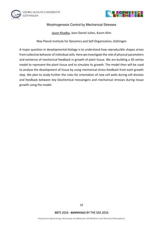 59
BBTS 2016 - BIOPHYSICS BY THE SEA 2016
Fluorescence Spectroscopy, Microscopy and Molecular Cell Mechanics and Theoretical Neurophysics
Morphogenesis Control by Mechanical Stresses
Jason Khadka, Jean-Daniel Julien, Karen Alim
Max Planck Institute for Dynamics and Self-Organization, Göttingen
A major question in developmental biology is to understand how reproducible shapes arises
from collective behavior of individual cells. Here we investigate the role of physical parameters
and existence of mechanical feedback in growth of plant tissue. We are building a 3D vertex
model to represent the plant tissue and to simulate its growth. The model then will be used
to analyse the development of tissue by using mechanical stress feedback from each growth
step. We plan to study further the rules for orientation of new cell walls during cell division
and feedback between key biochemical messengers and mechanical stresses during tissue
growth using the model.
 
