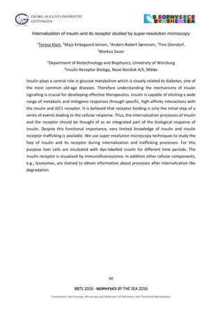 60
BBTS 2016 - BIOPHYSICS BY THE SEA 2016
Fluorescence Spectroscopy, Microscopy and Molecular Cell Mechanics and Theoretical Neurophysics
Internalization of insulin and its receptor studied by super-resolution microscopy
1Teresa Klein, 2Maja Kirkegaard Jensen, 2Anders Robert Sørensen, 2Tine Glendorf,
1Markus Sauer
1Department of Biotechnology and Biophysics, University of Würzburg
2Insulin Receptor Biology, Novo Nordisk A/S, Måløv
Insulin plays a central role in glucose metabolism which is closely related to diabetes, one of
the most common old-age diseases. Therefore understanding the mechanisms of insulin
signalling is crucial for developing effective therapeutics. Insulin is capable of eliciting a wide
range of metabolic and mitogenic responses through specific, high-affinity interactions with
the insulin and IGF1 receptor. It is believed that receptor binding is only the initial step of a
series of events leading to the cellular response. Thus, the internalization processes of insulin
and the receptor should be thought of as an integrated part of the biological response of
insulin. Despite this functional importance, very limited knowledge of insulin and insulin
receptor trafficking is available. We use super-resolution microscopy techniques to study the
fate of insulin and its receptor during internalization and trafficking processes. For this
purpose liver cells are incubated with dye-labelled insulin for different time periods. The
insulin receptor is visualized by immunofluorescence. In addition other cellular components,
e.g., lysosomes, are stained to obtain information about processes after internalization like
degradation.
 