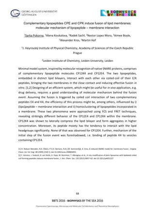 68
BBTS 2016 - BIOPHYSICS BY THE SEA 2016
Fluorescence Spectroscopy, Microscopy and Molecular Cell Mechanics and Theoretical Neurophysics
Complementary lipopeptides CPE and CPK induce fusion of lipid membranes:
molecular mechanism of lipopeptide – membrane interaction
1Sarka Pokorna, 1Alena Koukalova, 1Radek Sachl, 2Nestor Lopez Mora, 2Aimee Boyle,
2Alexander Kros, 1Martin Hof
1J. Heyrovský Institute of Physical Chemistry, Academy of Sciences of the Czech Republic
Prague
2Leiden Institute of Chemistry, Leiden University, Leiden
Minimal model system, inspired by molecular recognition of native SNARE proteins, comprises
of complementary lipopeptide molecules CP12K4 and CP12E4. The two lipopeptides,
embedded in distinct lipid bilayers, interact with each other via coiled-coil of their E/K
peptides, bringing the two membranes in the close contact and inducing effective fusion in
vitro. [1,2] Designing of an efficient system, which might be useful for in vivo application, e.g.
drug delivery, requires a good understanding of molecular mechanism behind the fusion
event. Assuming the fusion is triggered by coiled coil interaction of two complementary
peptides E4 and K4, the efficiency of this process might be, among others, influenced by i)
(lipo)peptide – membrane interaction and ii) homoclustering of lipopeptides incorporated in
a membrane. These two phenomena were approached using FCS and FRET techniques,
revealing strikingly different behavior of the CP12E4 and CP12K4 within the membrane.
CP12K4 was shown to laterally compress the lipid bilayer and form aggregates in higher
concentration. Moreover, its peptide moiety has the tendency to interact with the lipid
headgroups significantly. None of that was observed for CP12E4. Further, mechanism of the
initial step of the fusion event was foreshadowed, i.e. binding of peptide K4 to vesicles
containing CP12E4.
[1] H. Robson Marsden, N.A. Elbers, P.H.H. Bomans, N.A.J.M. Sommerdijk, A. Kros, A reduced SNARE model for membrane fusion., Angew.
Chem. Int. Ed. Engl. 48 (2009) 2330–3. doi:10.1002/anie.200804493.
[2] F. Versluis, J. Voskuhl, B. van Kolck, H. Zope, M. Bremmer, T. Albregtse, et al., In situ modification of plain liposomes with lipidated coiled
coil forming peptides induces membrane fusion., J. Am. Chem. Soc. 135 (2013) 8057–62. doi:10.1021/ja4031227
 