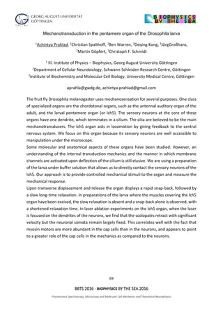 69
BBTS 2016 - BIOPHYSICS BY THE SEA 2016
Fluorescence Spectroscopy, Microscopy and Molecular Cell Mechanics and Theoretical Neurophysics
Mechanotransduction in the pentamere organ of the Drosophila larva
1Achintya Prahlad, 2Christian Spalthoff, 2Ben Warren, 3Deqing Kong, 3JörgGroßhans,
2Martin Göpfert, 1Christoph F. Schmidt
1 III. Institute of Physics – Biophysics, Georg August University Göttingen
2Department of Cellular Neurobiology, Schwann-Schleiden Research Centre, Göttingen
3Institute of Biochemistry and Molecular Cell Biology, University Medical Centre, Göttingen
aprahla@gwdg.de, achintya.prahlad@gmail.com
The fruit fly Drosophila melanogaster uses mechanosensation for several purposes. One class
of specialized organs are the chordotonal organs, such as the antennal auditory organ of the
adult, and the larval pentamere organ (or lch5). The sensory neurons at the core of these
organs have one dendrite, which terminates in a cilium. The cilia are believed to be the main
mechanotransducers. The lch5 organ aids in locomotion by giving feedback to the central
nervous system. We focus on this organ because its sensory neurons are well accessible to
manipulation under the microscope.
Some molecular and anatomical aspects of these organs have been studied. However, an
understanding of the internal transduction mechanics and the manner in which membrane
channels are activated upon deflection of the cilium is still elusive. We are using a preparation
of the larva under buffer solution that allows us to directly contact the sensory neurons of the
lch5. Our approach is to provide controlled mechanical stimuli to the organ and measure the
mechanical response.
Upon transverse displacement and release the organ displays a rapid snap-back, followed by
a slow long-time relaxation. In preparations of the larva where the muscles covering the lch5
organ have been excised, the slow relaxation is absent and a snap-back alone is observed, with
a shortened relaxation time. In laser ablation experiments on the lch5 organ, when the laser
is focused on the dendrites of the neurons, we find that the scolopales retract with significant
velocity but the neuronal somata remain largely fixed. This correlates well with the fact that
myosin motors are more abundant in the cap cells than in the neurons, and appears to point
to a greater role of the cap cells in the mechanics as compared to the neurons.
 