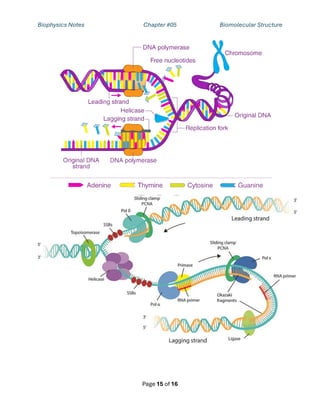 Biophysics Notes Chapter #05 Biomolecular Structure
Page 15 of 16
 