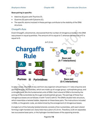 Biophysics Notes Chapter #05 Biomolecular Structure
Page 4 of 16
Base pairing is specific:
• Adenine (A) pairs with Thymine (T).
• Guanine (G) pairs with Cytosine (C).
• The specific atoms involved in these pairings contribute to the stability of the DNA
structure.
Chargaff's Rule
Erwin Chargaff, a biochemist, discovered that the number of nitrogenous bases in the DNA
was present in equal quantities. The amount of A is equal to T, whereas the amount of C is
equal to G.
A=T; C=G
In other words, the DNA of any cell from any organism should have a 1:1 ratio of purine and
pyrimidine base. Nucleotides, which are made up of a sugar group. a phosphate group, and
a nitrogen base, are the fundamental units of DNA. Each strand of DNA is formed by the
joining of the nucleotides by the sugar and phosphate groups. The pairings of these four
nitrogenous bases are as follows: A with T and C with G. The DNA's double helix structure,
which resembles a twisted ladder, depends on these base pairs. The instructions included
in DNA, or the genetic code, are determined by the arrangement of nitrogenous bases.
A single turn of the helically twisted strands consists of ten nucleotides, with each strand
forming a right-handed coil. Every helix has a pitch of 3.4 nm. Therefore, 0.34 nm separates
two successive base pairs, or the hydrogen-bonded bases of the opposing strands.
 