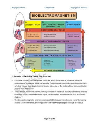 Biophysics Chapter 6 Biophysical Process.pdf