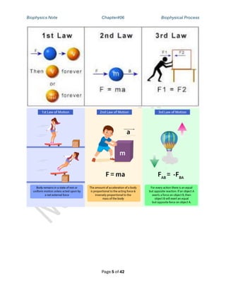 Biophysics Chapter 6 Biophysical Process.pdf