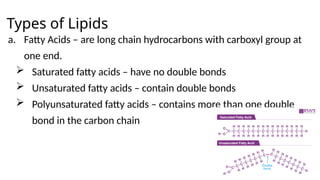 Types of Lipids
a. Fatty Acids – are long chain hydrocarbons with carboxyl group at
one end.
 Saturated fatty acids – have no double bonds
 Unsaturated fatty acids – contain double bonds
 Polyunsaturated fatty acids – contains more than one double
bond in the carbon chain
 