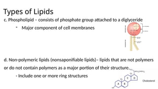 Types of Lipids
c. Phospholipid – consists of phosphate group attached to a diglyceride
- Major component of cell membranes
d. Non-polymeric lipids (nonsaponifiable lipids)– lipids that are not polymers
or do not contain polymers as a major portion of their structure.
- Include one or more ring structures
 