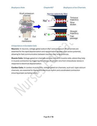 Biophysics Chapter 7 Biophysics of Ion Channel.pdf