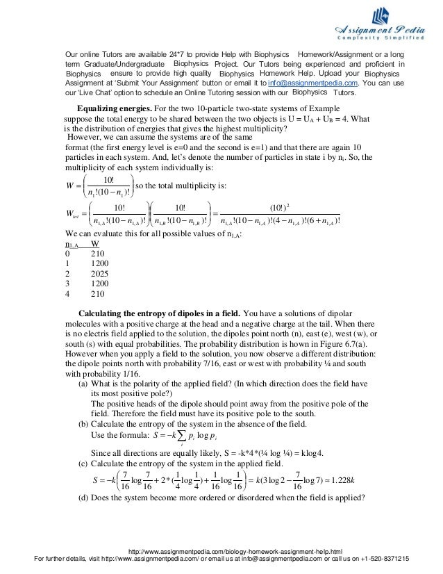 Ratio homework help live chat