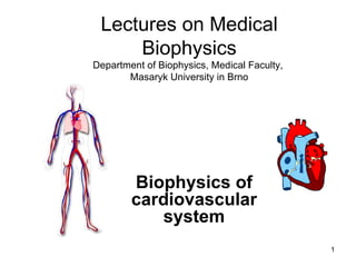 Biophysics of cardiovascular system Lectures on Medical Biophysics Department of Biophysics, Medical Faculty,  Masaryk University in Brno 