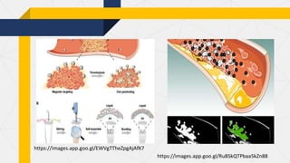 Nanoparticles in diagnostics and therapy | PPTX