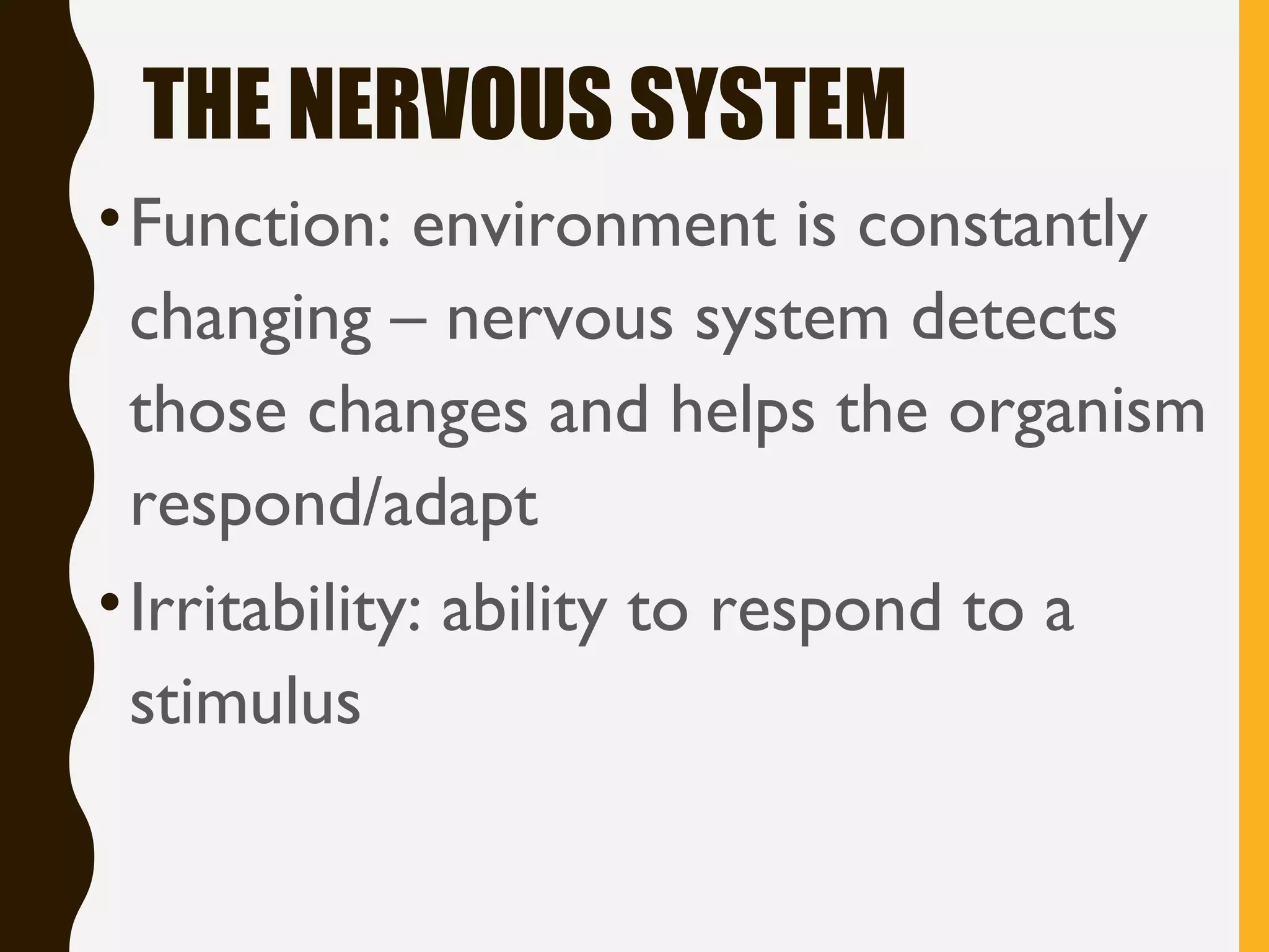 THE NERVOUS SYSTEM
•Function: environment is constantly
changing – nervous system detects
those changes and helps the organism
respond/adapt
•Irritability: ability to respond to a
stimulus
 