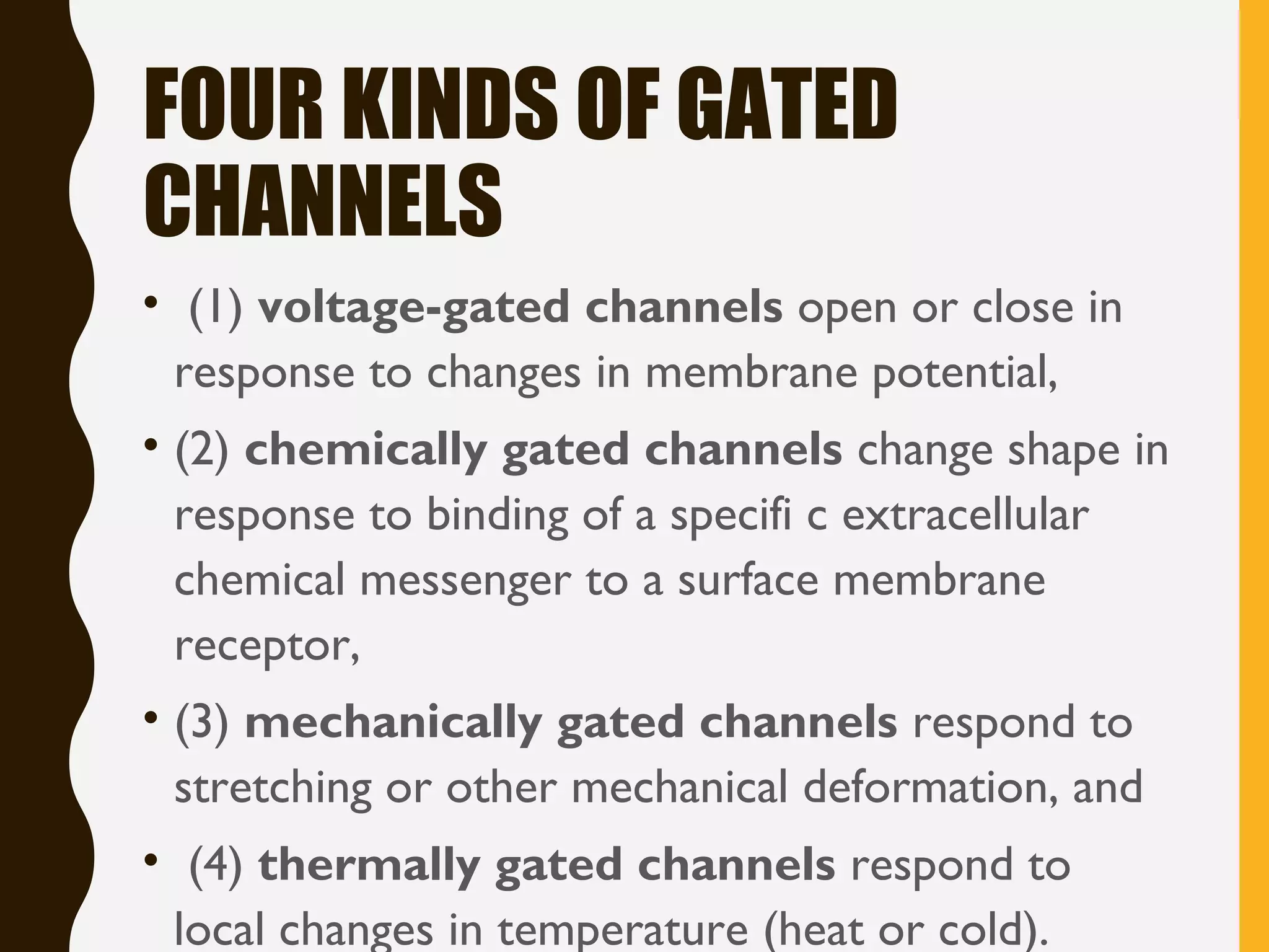 FOUR KINDS OF GATED
CHANNELS
• (1) voltage-gated channels open or close in
response to changes in membrane potential,
• (2) chemically gated channels change shape in
response to binding of a specifi c extracellular
chemical messenger to a surface membrane
receptor,
• (3) mechanically gated channels respond to
stretching or other mechanical deformation, and
• (4) thermally gated channels respond to
local changes in temperature (heat or cold).
 