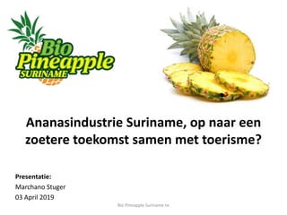 Ananasindustrie Suriname, op naar een
zoetere toekomst samen met toerisme?
Presentatie:
Marchano Stuger
03 April 2019
Bio Pineapple Suriname nv
 
