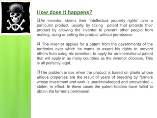 How does it happens?
An inventor, claims their ‘intellectual property rights’ over a
particular product, usually by taking patent that protects their
product by allowing the inventor to prevent other people from
making, using or selling the product without permission.
 The inventor applies for a patent from the governments of the
territories over which he wants to assert his rights to prevent
others from using his invention, to apply for an international patent
that will apply in as many countries as the inventor chooses. This
is all perfectly legal.
The problem arises when the product is based on plants whose
unique properties are the result of years of breeding by farmers
whose investment and work is unacknowledged and unrewarded –
stolen, in effect. In these cases the patent holders have failed to
obtain the farmer’s permission.
 