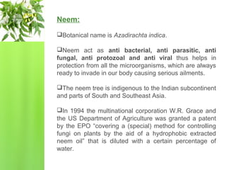 Neem:
Botanical name is Azadirachta indica.
Neem act as anti bacterial, anti parasitic, anti
fungal, anti protozoal and anti viral thus helps in
protection from all the microorganisms, which are always
ready to invade in our body causing serious ailments.
The neem tree is indigenous to the Indian subcontinent
and parts of South and Southeast Asia.
In 1994 the multinational corporation W.R. Grace and
the US Department of Agriculture was granted a patent
by the EPO “covering a (special) method for controlling
fungi on plants by the aid of a hydrophobic extracted
neem oil” that is diluted with a certain percentage of
water.
 
