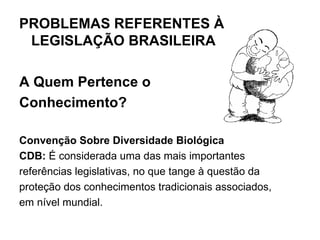 PROBLEMAS REFERENTES À LEGISLAÇÃO BRASILEIRA   A Quem Pertence o Conhecimento?   Convenção Sobre Diversidade Biológica CDB:  É considerada uma das mais importantes referências legislativas, no que tange à questão da proteção dos conhecimentos tradicionais associados, em nível mundial. 