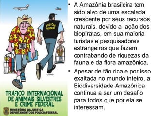 A Amazônia brasileira tem sido alvo de uma escalada crescente por seus recursos naturais, devido a  ação dos biopiratas, em sua maioria turistas e pesquisadores estrangeiros que fazem contrabando de riquezas da fauna e da flora amazônica.  Apesar de tão rica e por isso exaltada no mundo inteiro, a Biodiversidade Amazônica continua a ser um desafio para todos que por ela se interessam.  