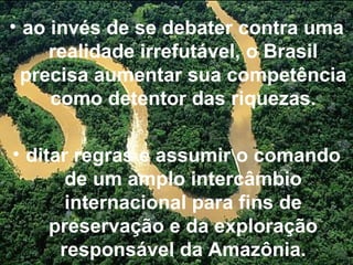 ao invés de se debater contra uma realidade irrefutável, o Brasil precisa aumentar sua competência como detentor das riquezas. ditar regras e assumir o comando de um amplo intercâmbio internacional para fins de preservação e da exploração responsável da Amazônia. 
