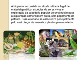 A biopirataria consiste no ato da retirada ilegal de
material genético, espécies de seres vivos e
exploração da sabedoria popular de uma nação para
a exploração comercial em outra, sem pagamento de
patente. Essa atividade se caracteriza principalmente
pelo envio ilegal de animais e plantas para o exterior.

 