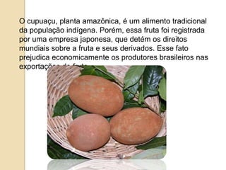 O cupuaçu, planta amazônica, é um alimento tradicional
da população indígena. Porém, essa fruta foi registrada
por uma empresa japonesa, que detém os direitos
mundiais sobre a fruta e seus derivados. Esse fato
prejudica economicamente os produtores brasileiros nas
exportações do fruto.

 