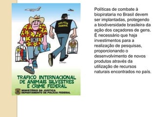 Políticas de combate à
biopirataria no Brasil devem
ser implantadas, protegendo
a biodiversidade brasileira da
ação dos caçadores de gens.
É necessário que haja
investimentos para a
realização de pesquisas,
proporcionando o
desenvolvimento de novos
produtos através da
utilização de recursos
naturais encontrados no país.

 