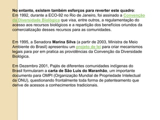 No entanto, existem também esforços para reverter este quadro:
Em 1992, durante a ECO-92 no Rio de Janeiro, foi assinado a Convenção
da Diversidade Biológica que visa, entre outros, a regulamentação do
acesso aos recursos biológicos e a repartição dos benefícios oriundos da
comercialização desses recursos para as comunidades.
Em 1995, a Senadora Marina Silva (a partir de 2003, Ministra de Meio
Ambiente do Brasil) apresentou um projeto de lei para criar mecanismos
legais para por em pratica as providências da Convenção da Diversidade
Biológica.
Em Dezembro 2001, Pajés de diferentes comunidades indígenas do
Brasil formularam a carta de São Luis do Maranhão, um importante
documento para OMPI (Organização Mundial de Propriedade Intelectual
da ONU), questionando frontalmente toda forma de patenteamento que
derive de acessos a conhecimentos tradicionais.

 