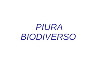 PIURA BIODIVERSO   