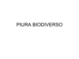 PIURA BIODIVERSO 