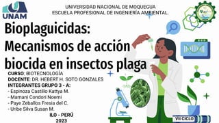 CURSO: BIOTECNOLOGÍA
DOCENTE: DR. HEBERT H. SOTO GONZALES
INTEGRANTES GRUPO 3 - A:
- Espinoza Castillo Kattya M.
- Mamani Condori Noemi
- Paye Zeballos Fresia del C.
- Uribe Silva Susan M.
ILO - PERÚ
2023
Bioplaguicidas:
Mecanismos de acción
biocida en insectos plaga
VII CICLO
UNIVERSIDAD NACIONAL DE MOQUEGUA
ESCUELA PROFESIONAL DE INGENIERÍA AMBIENTAL.
 