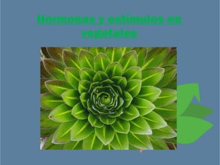 Hormonas y estímulos en
      vegetales


        Roseta Circular
 