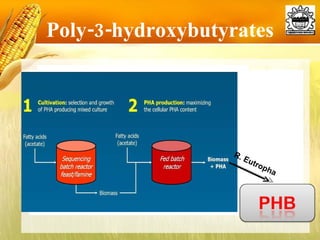 Poly-3-hydroxybutyrates R. Eutropha 