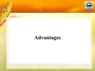 Advantages 