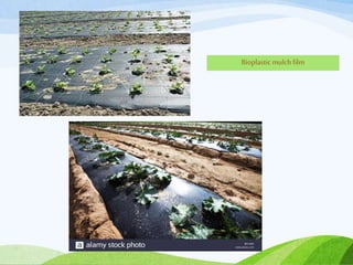 Bioplasticmulch film
 