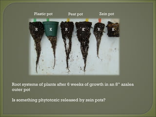 Bioplastic Nursery Pots for Profitability and Sustainability | PPT