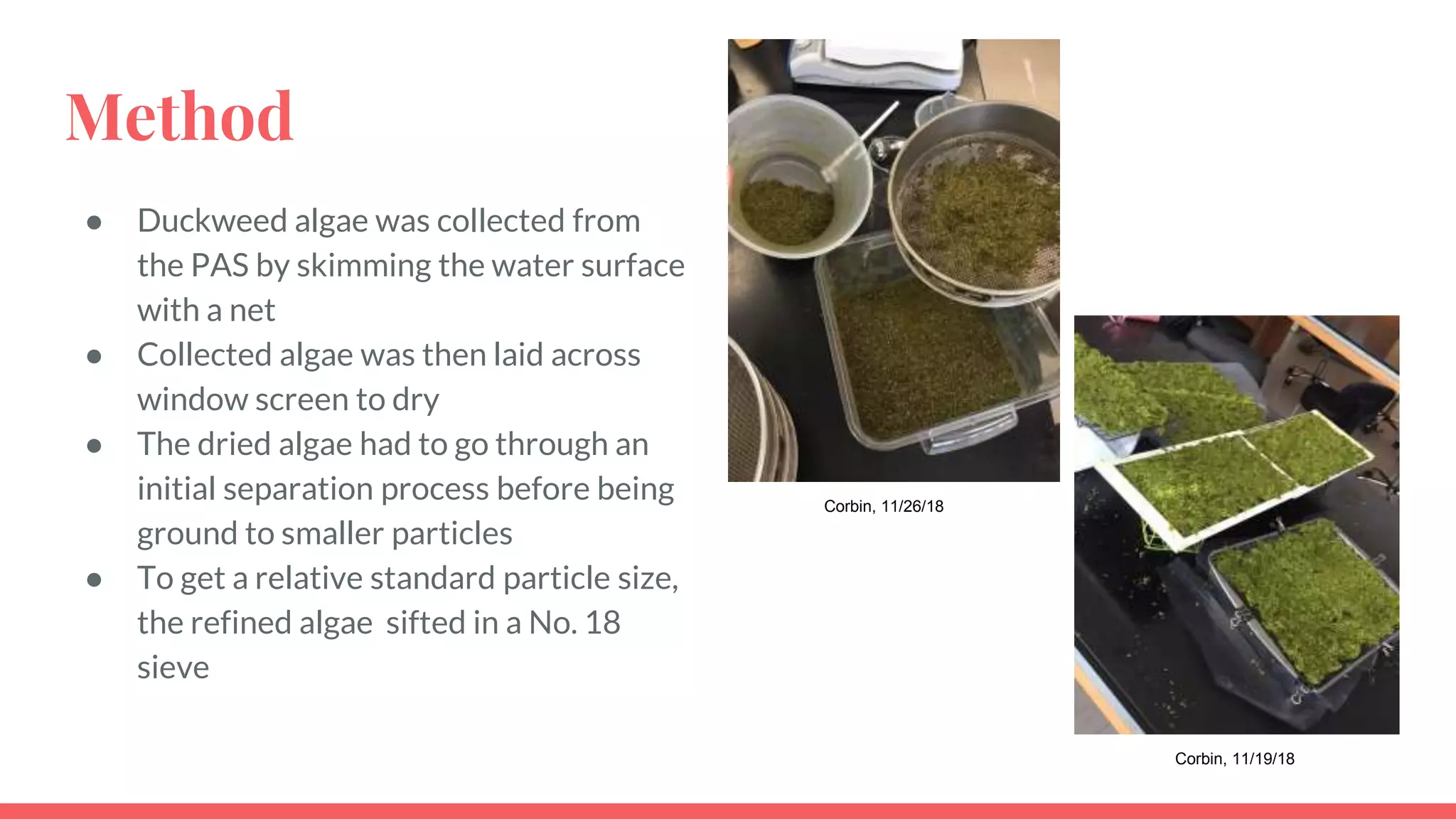 Bioplastic from Algae | PPTX