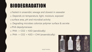 BIODEGRADATION
o Fastest in anaerobic sewage and slowest in seawater
o Depends on temperature, light, moisture, exposed
osurface area, pH and microbial activity
o Degrading microbes colonize polymer surface & secrete
o PHA depolymerases
o PHA -> CO2 + H2O (aerobically)
o PHA -> CO2 + H2O + CH4 (anaerobically)
Jaydip Paradava
 
