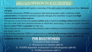 phb-c/a/b OPERON IN R.EUTROPHA
PHB BIOSYNTHESIS
It consists of three enzymes
1) B-ketoacyl-CoA thiolase (phb A)
2) NADPH dependent Acetoacetyl-CoA dehydrogenase (phb B).
3) P(3HB) polymerase (phb C)
• Transferring the complete phb operon, consisting of the phbC,phbA and phbB genes from Ralstonia
eutropha.
• Polyhydroxybutyrates (PHBS) are polymers that bacteria produce under conditions of low
concentrations of important nutrients (typically nitrogen, but sometimes oxygen) and high
concentrations of carbon sources.
• This process occurs because the excess carbon leads to bacteria creating carbon reserves (PHAs) to
save for a time with more plentiful nutrients in which they need energy to carry out regular functions.
• Bacteria store PHBS in granules for later use.
• These polymers are accumulated intracellularly under conditions of nutrient stress and act as a carbon
and energy reserve.
• Poly-B-hydroxybutyrate (PHB) is synthesized as an intracellular storage material and accumulates
as distinct white granules during unbalanced growth in the cell, these are clearly visible in the
cytoplasm of the cell.
 