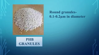 PHB
GRANULES
Round granules-
0.1-0.2µm in diameter
 