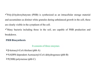 Poly-β-hydroxybutyrate (PHB) is synthesized as an intracellular storage material
and accumulates as distinct white granules during unbalanced growth in the cell, these
are clearly visible in the cytoplasm of the cell.
Many bacteria including those in the soil, are capable of PHB production and
breakdown.
It consists of three enzymes
β-ketoacyl-CoA thiolase (phb A)
NADPH dependent Acetoacetyl-CoA dehydrogenase (phb B)
P(3HB) polymerase (phb C)
 