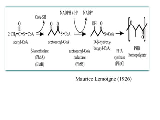 Maurice Lemoigne (1926)
 
