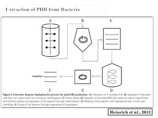 Heinrich et al., 2012
 