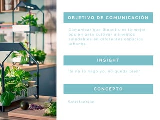 C o m u n i c a r q u e B i o p o l i s e s l a m e j o r
o p c i ó n p a r a c u l t i v a r a l i m e n t o s
s a l u d a b l e s e n d i f e r e n t e s e s p a c i o s
u r b a n o s .
O B J E T I V O D E C O M U N I C A C I Ó N
" S i n o l o h a g o y o , n o q u e d a b i e n "
I N S I G H T
S a t i s f a c c i ó n
C O N C E P T O
 