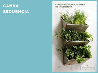 CANVA
SECUENCIA
 