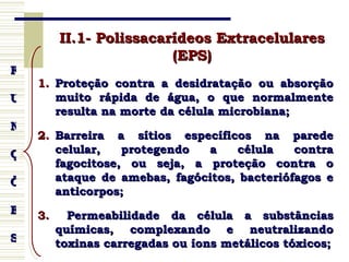 Biopolímeros 08 05-09