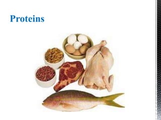 Proteins
 
