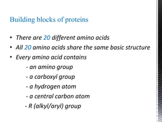 Building blocks of proteins
• There are 20 different amino acids
• All 20 amino acids share the same basic structure
• Every amino acid contains
- an amino group
- a carboxyl group
- a hydrogen atom
- a central carbon atom
- R (alkyl/aryl) group
 