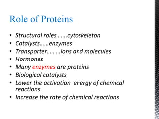 Role of Proteins
• Structural roles…….cytoskeleton
• Catalysts……enzymes
• Transporter………ions and molecules
• Hormones
• Many enzymes are proteins
• Biological catalysts
• Lower the activation energy of chemical
reactions
• Increase the rate of chemical reactions
 