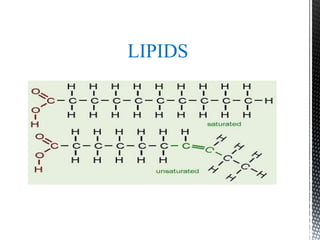 LIPIDS
 