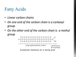 Fatty Acids
• Linear carbon chains
• On one end of the carbon chain is a carboxyl
group
• On the other end of the carbon chain is a methyl
group
 